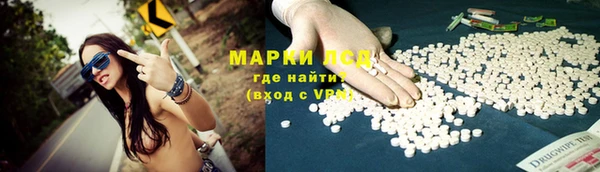 прущие крисы Лабытнанги