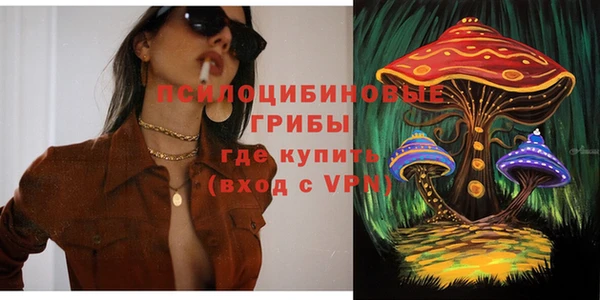 СК Кукмор